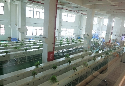 硅胶照明生产车间与挤出生产线实拍