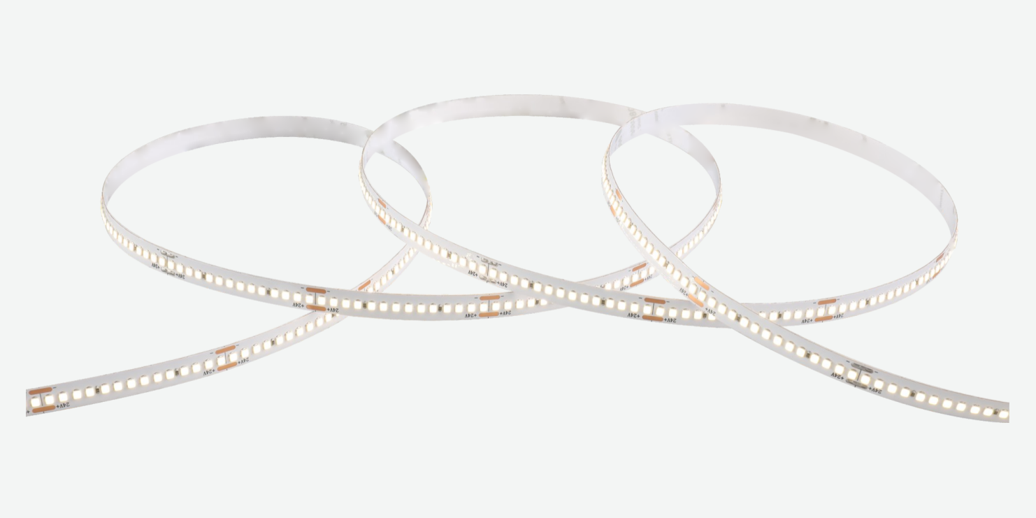 ⁦SMD-022⁩ · شريط LED ⁦SMD 2025⁩ · لون واحد · ⁦8 mm⁩ · ⁦280 LED/m⁩ · ⁦10 W/m⁩ — صورة المنتج