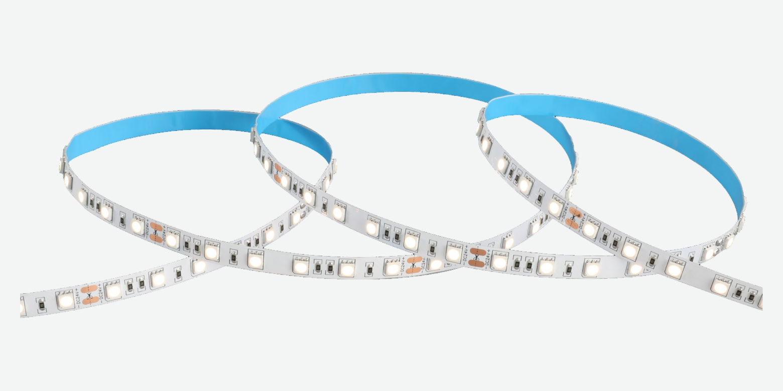 ⁦SMD-025⁩ · شريط LED ⁦SMD 5050⁩ · لون واحد · ⁦10 mm⁩ · ⁦60 LED/m⁩ · ⁦12 W/m⁩ — صورة المنتج
