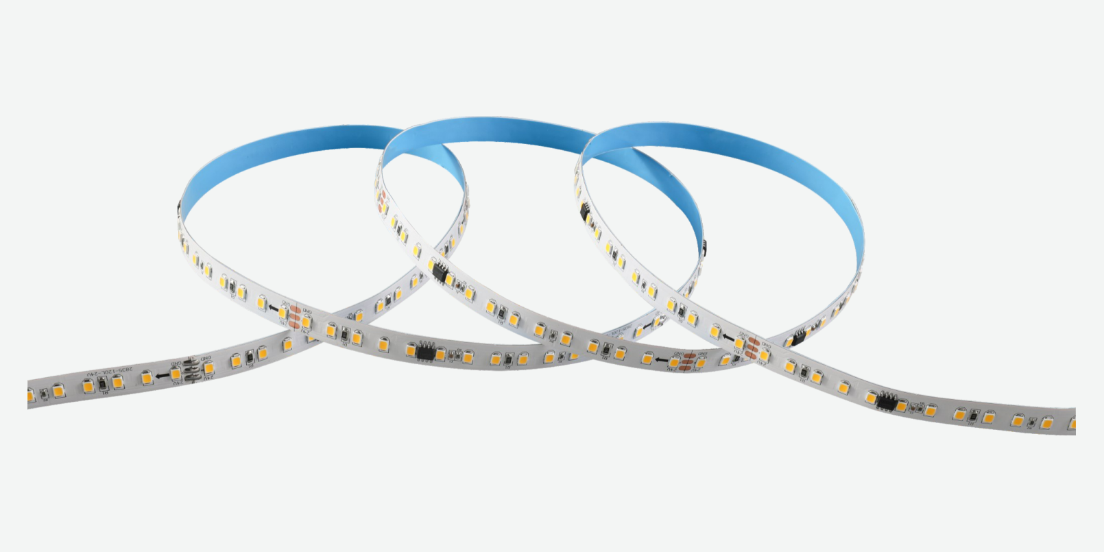 ⁦SMD-024⁩ · شريط LED ⁦SMD 2835⁩ · إضاءة متتابعة بتحكم خارجي · ⁦10 mm⁩ · ⁦120 LED/m⁩ · ⁦12 W/m⁩ — صورة المنتج