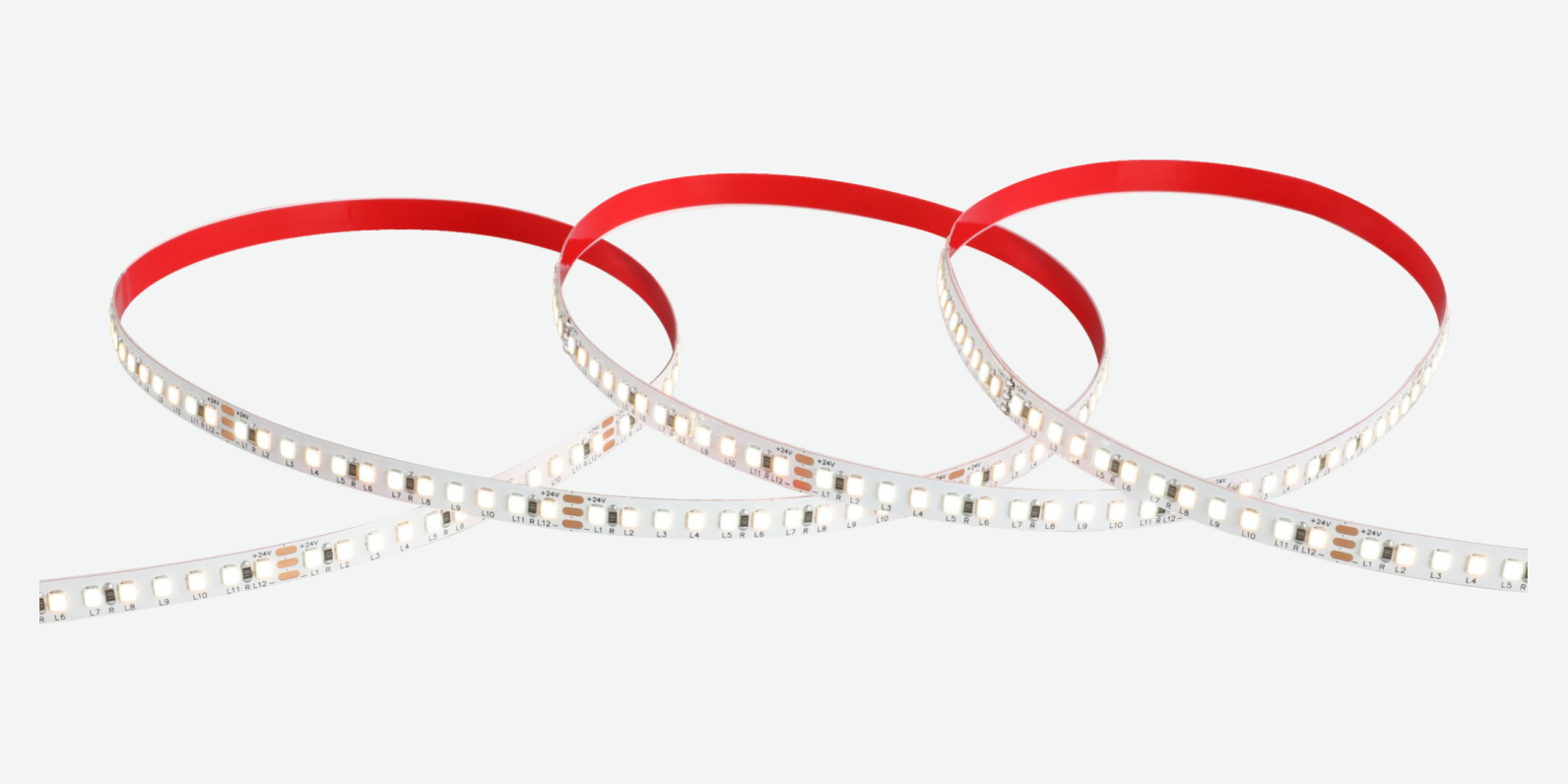 ⁦SMD-010⁩ · شريط LED ⁦SMD 2835⁩ · درجة حرارة لون قابلة للضبط · ⁦8 mm⁩ · ⁦168 LED/m⁩ · ⁦15 W/m⁩ — صورة المنتج